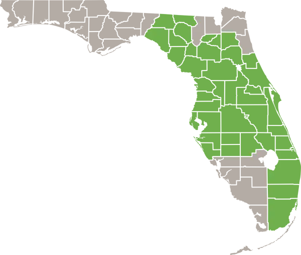 Florida Deer Mouse Florida Range