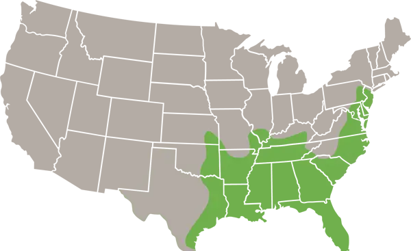 Marsh Rice Rat US Range Map