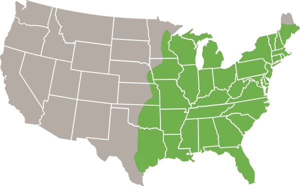 Southern Flying Squirrel US Range Map