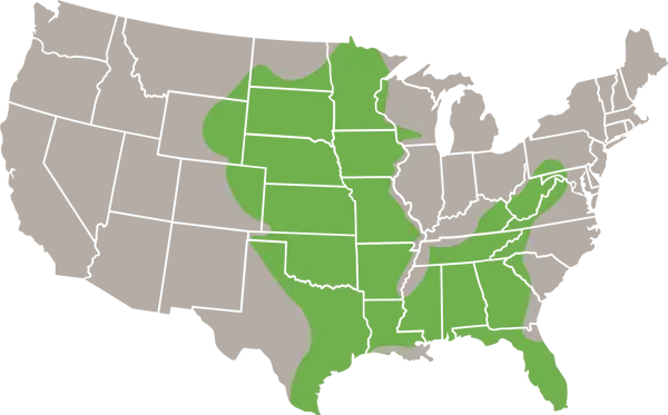 Spotted Skunk USA Range Map