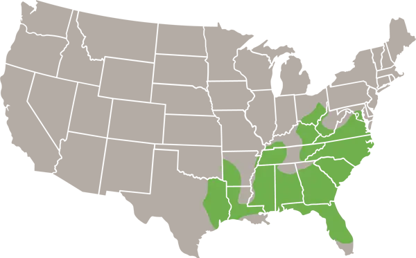 The Eastern Harvest Mouse USA Range Map