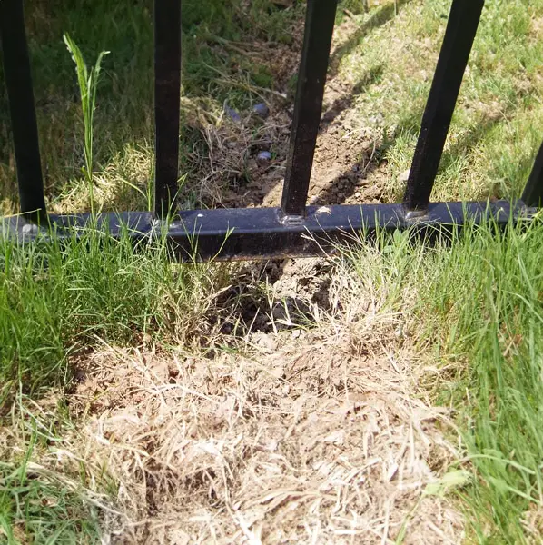 Armadillo Damage A hole from a skunk whowing the need for Lutz skunk removal services