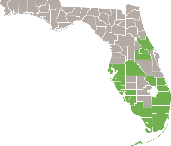 Black Spiny-tailed Iguana Florida Range Map