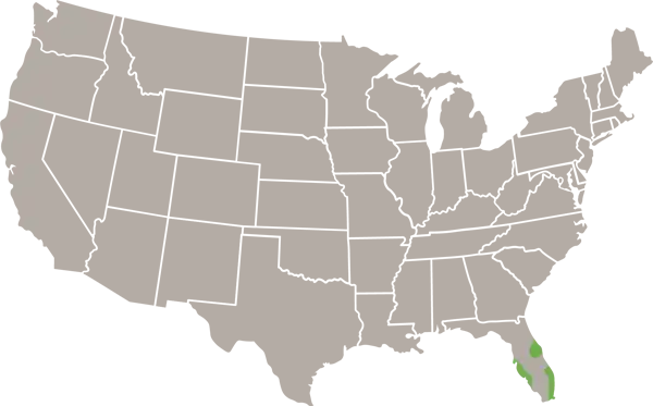 Black Spiny-tailed Iguana USA Range Map