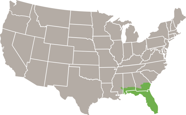 Eastern Indigo Snake USA Range Map