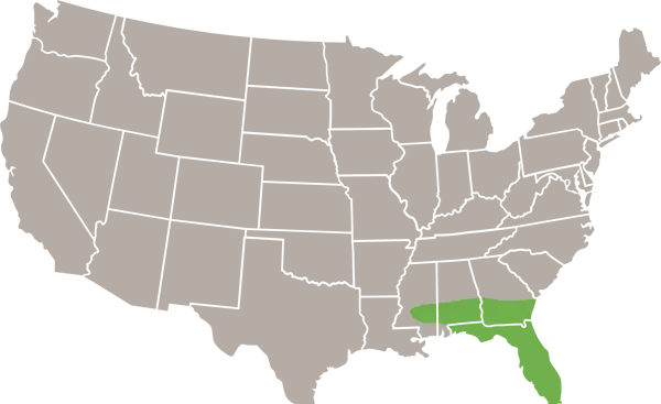 Florida Cottonmouth USA Range map