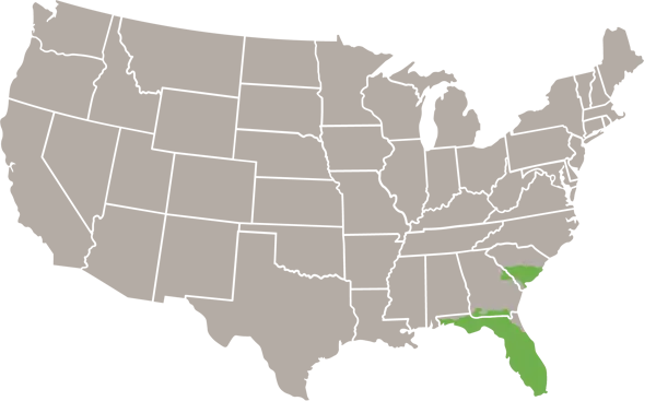 Florida Green Water Snake USA Range map