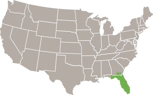 Striped Swampsnake usa Range map