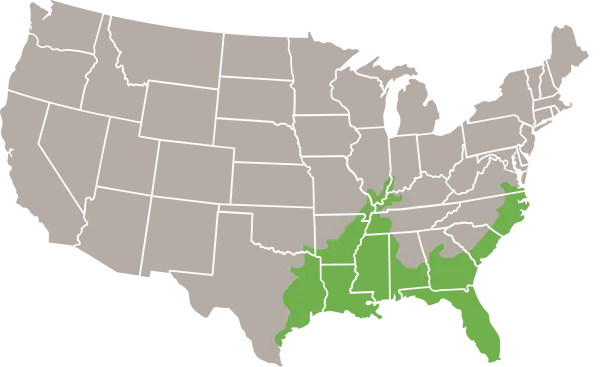 The Eastern Mudsnake USA Range Map