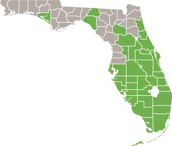 The Green Iguana Florida Range Map