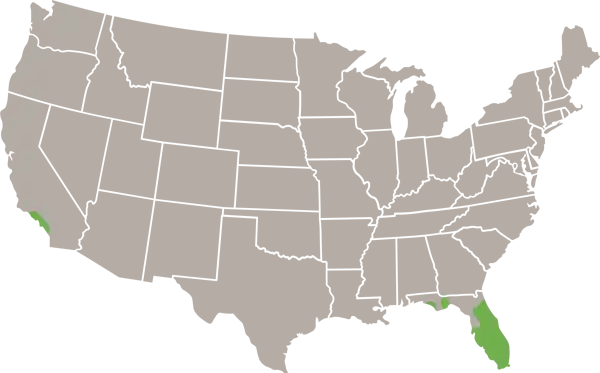 The Green Iguana USA Map Range
