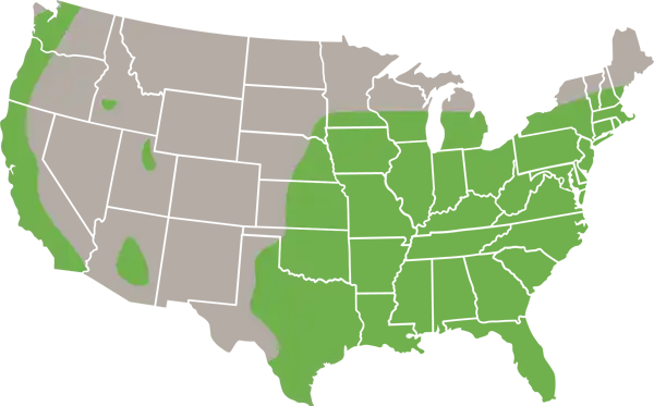 Muscovy Duck USA Range Map