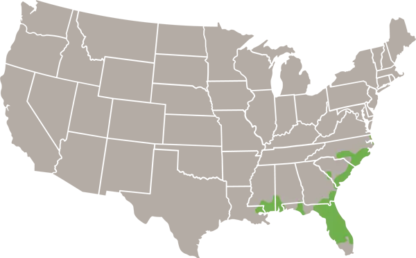 The Pine Woods Littersnake USA Range Map