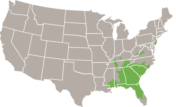 The Pinesnake USA Range Map