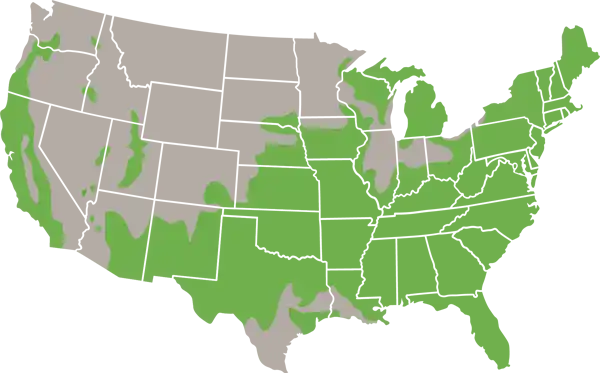 The Ringnecked Snake usa Range map