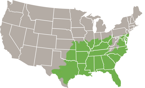 The Rough Green Snake usa range map
