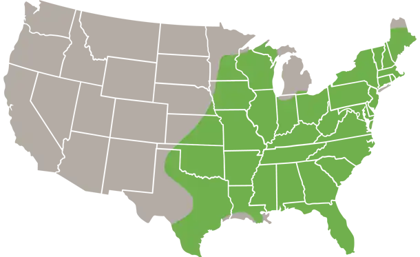 The Tri-colored Bat USA Range