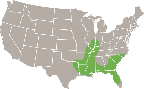The Southeastern Myotis USA Range Map